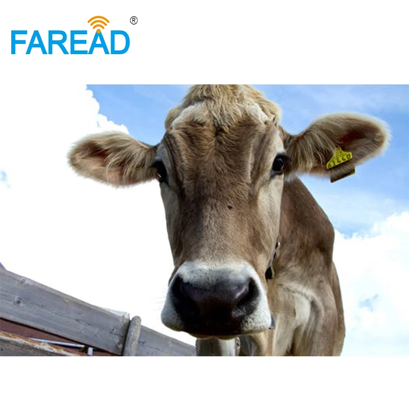 X100pcs FDX-B ISO11784/5 RFID สัตว์หู ID หมายเลข 134.2 กิโลเฮิร์ตซ์รอบหูสําหรับฟาร์มสัตว์ระบุ