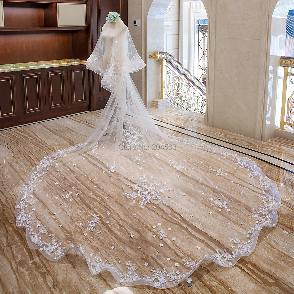 Two-Layer Wedding Veil with Appliques and Flowers Unique Long Bridal Veils with Comb AX