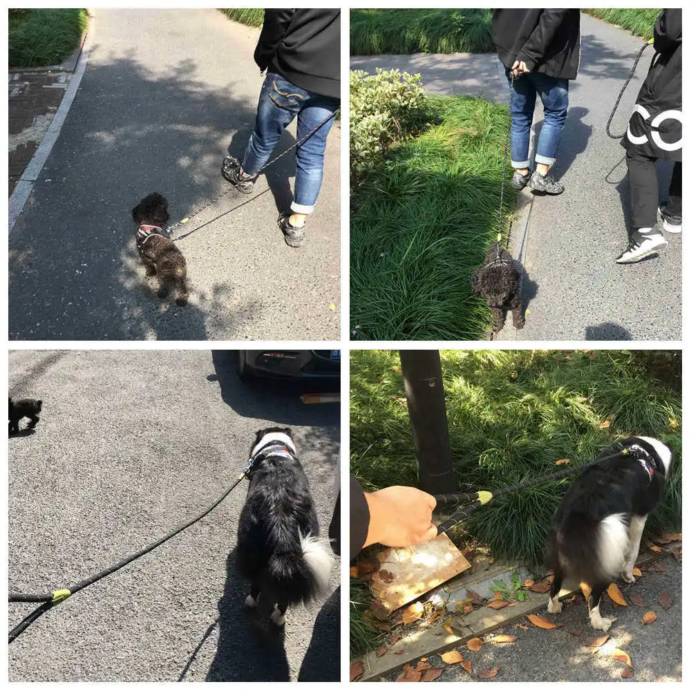 Guinzaglio per cani corda guinzagli per cani riflettenti per cani collari per cani di taglia media piccola imbracature guinzaglio per cuccioli