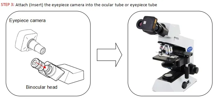 Adaptateur oculaire réglable pour Microscope, AMA050 23.2