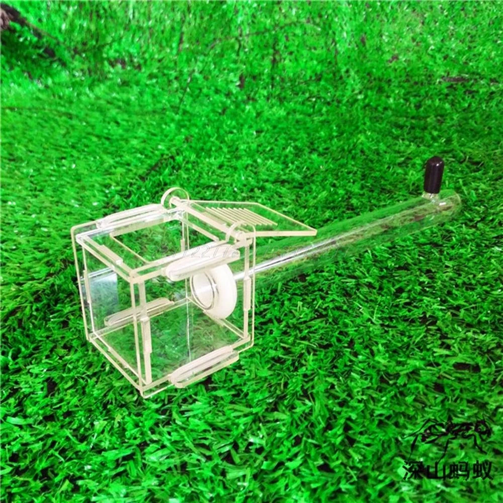 Nest Glass Tube Mini Nest with Insect House Acrylic Farm Je06 19 Dropship