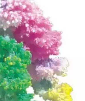 IWish-Árbol de papel de crecimiento mágico Multicolor para niños, Wunderbaum, árboles de Navidad, Juguetes De ciencia para niños, 2019, 7x6cm