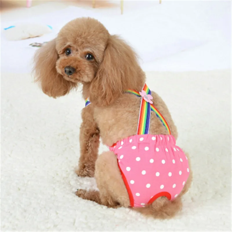 New Cute Pet Dog Strap Physiological Pants Panty Menstruation Pants For Female Teddy Underwear For Boy Dog Cat Hot