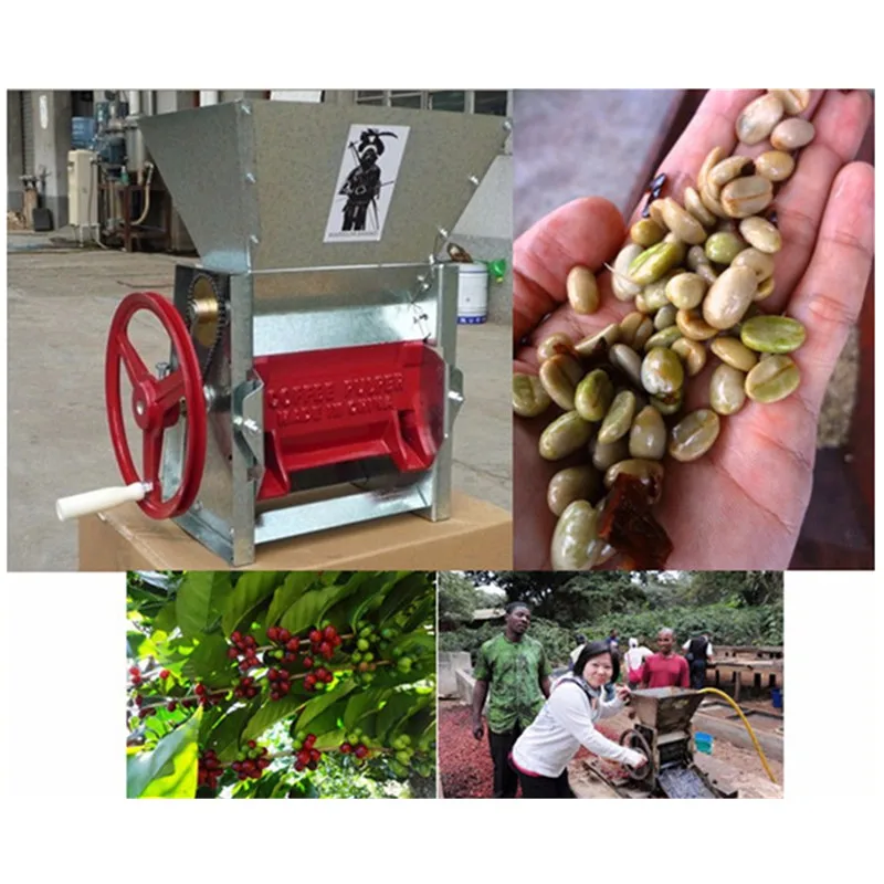 Manual coffee peeling pulper extractor cocoa bean sheller coffee processing machinery