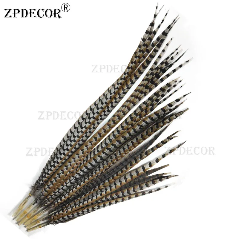 

ZPDECOR 70-80CM 28-32 Inch Reeves Pheasant Feathers