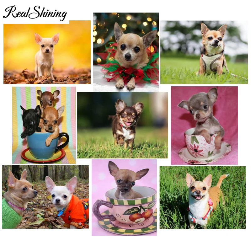 Chihuahua pet Diamond Painting full square round mosaic diamond picture Of Rhinestone embroidery dog puppy home Decor FS4518