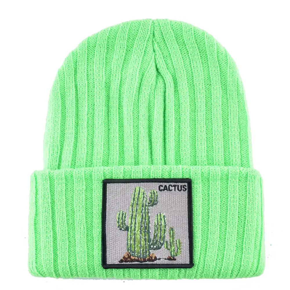 Winter Beanies Hat Woman New Knitted Solid Skullies Beanie Men Casual Bonnet Caps With Cactus Patch Streetwear Gorras Warm Hats