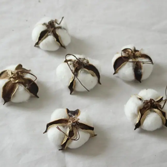 6PCS/Pack Natural Dried Cotton Flower Heads simulation flower DIY wedding decoration for home party office