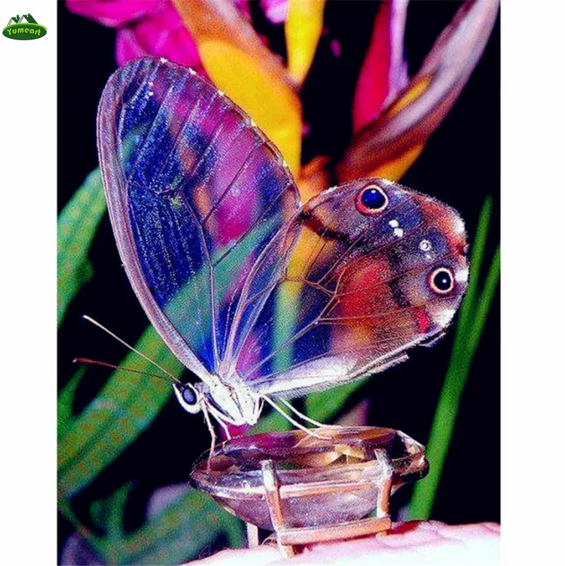 YUMEART 5D Diy Diamond Painting Transparent Butterfly 3D Diamond Mosaic Square Rhinestones Peinture Au Diamant Embroidery