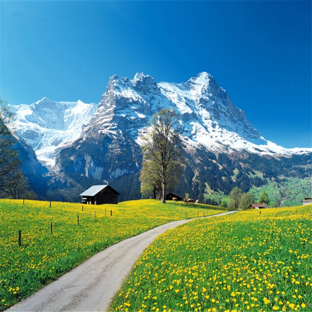 タペストリー スイスアルプス いらだっ 壁掛けおしゃれ風景 自然