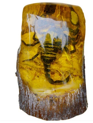 

Wonderful Chinese Tibet Amber Old Hand Inlay Cicada Rare Exorcism Amber Decor