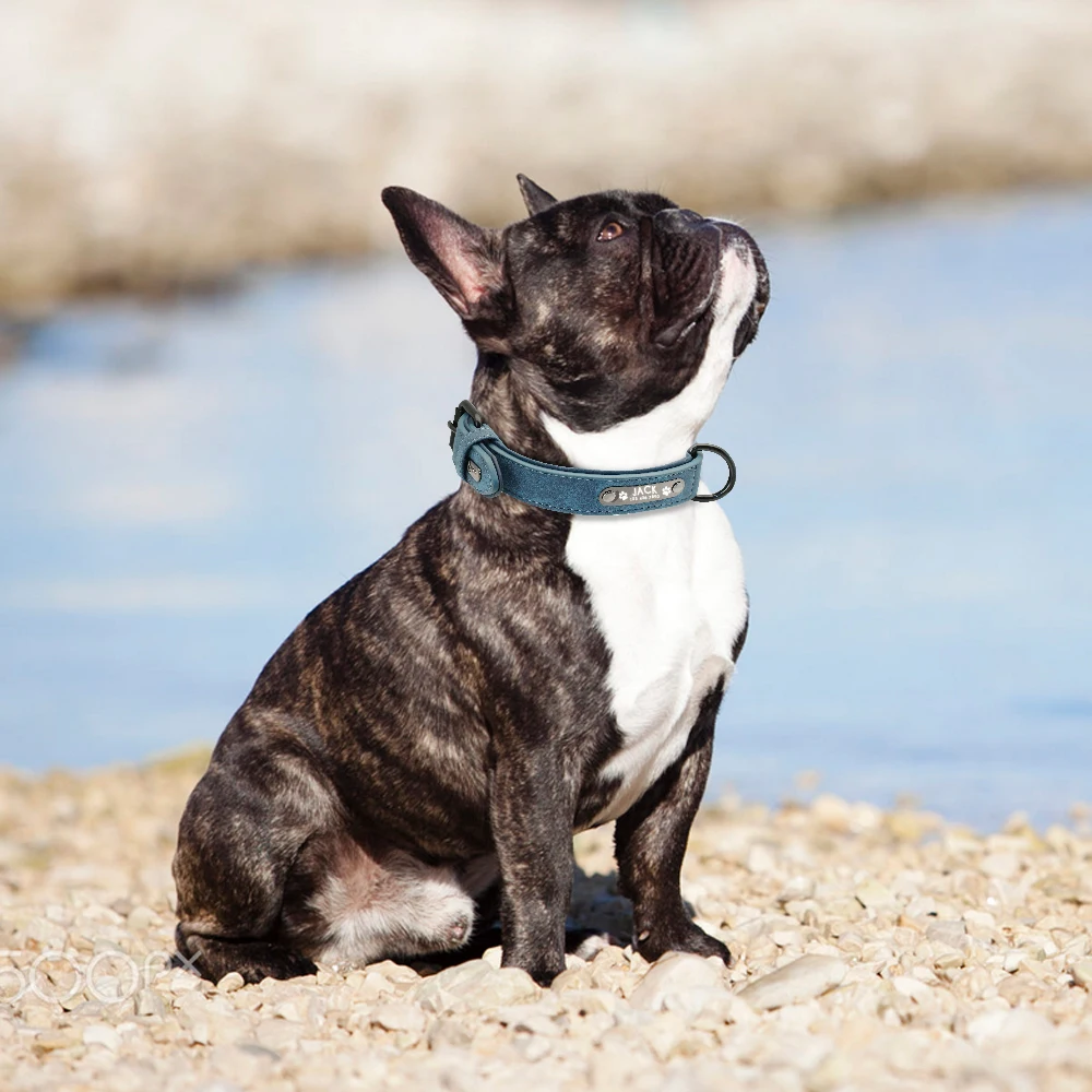 Personalisierte Hund Kragen Nach Leder Hund Halsbänder Innere Gepolsterte Pet ID Kragen Für Kleine Medium Große Hunde Pitbull Bulldog – Detail 14