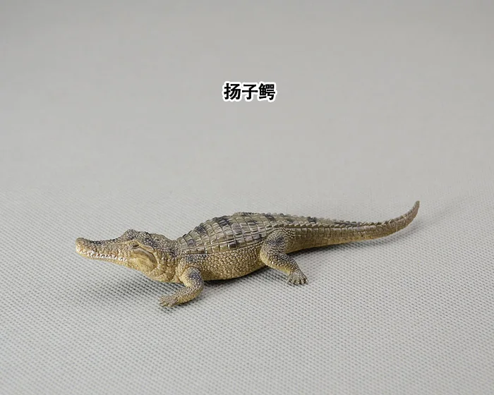 Solid animal model toy alligator Chinese alligator ornaments workmanship favorites! Alligator sinensis