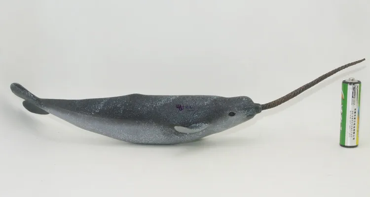 Hot toys Narwhal (Unicorn Whale) Simulation model Marine Animals Sea Animal kids gift educational props Action Figures