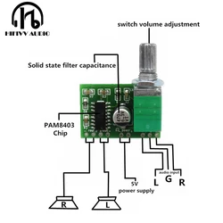 Scheda amplificatore di potenza Audio HIFI 2.0CH 3W ingresso DC5V altoparlante digitale Stereo corno scheda PCB AMP fai da te