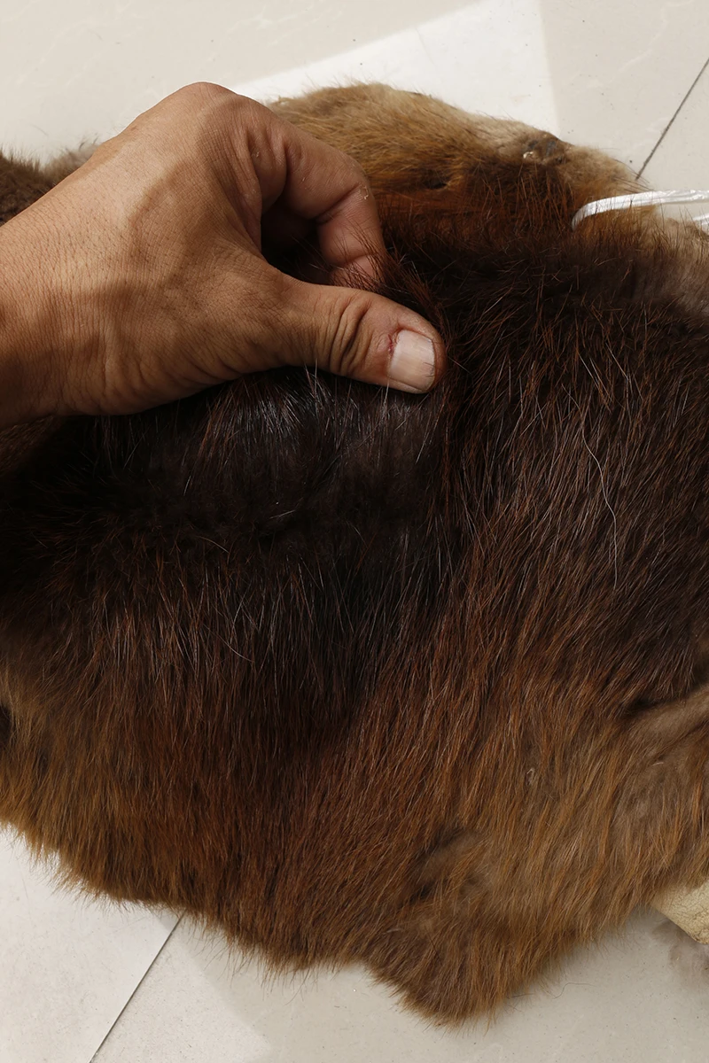 Sprzedaż hurtowa konkurencyjna cena naturalna brązowa owalna kształt futra Beaver futra prawdziwe futra na sprzedaż