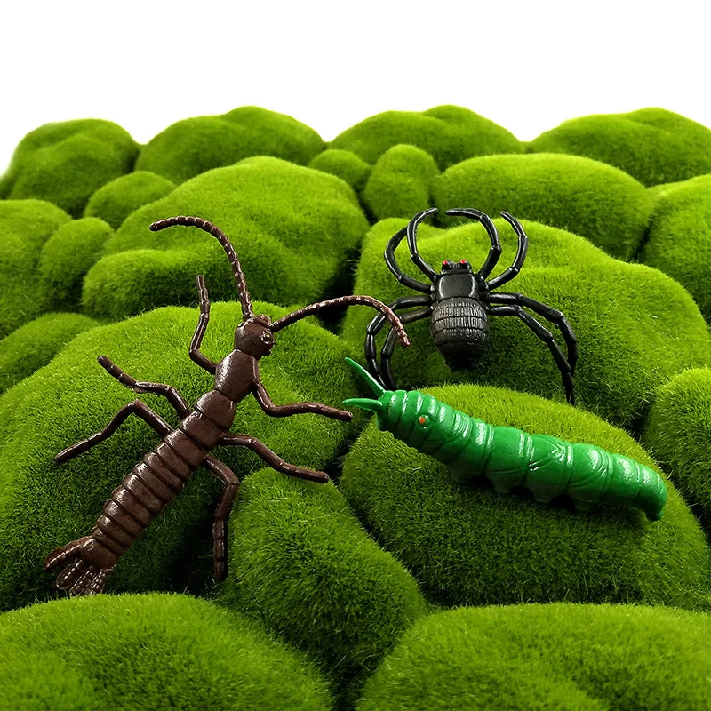12 قطعة نماذج للحيوانات الحشرات اليعسوب العنكبوت النمل السرعوف يطير لتقوم بها بنفسك تمثال ديكور المنزل مصغرة الجنية حديقة الديكور اكسسوارات