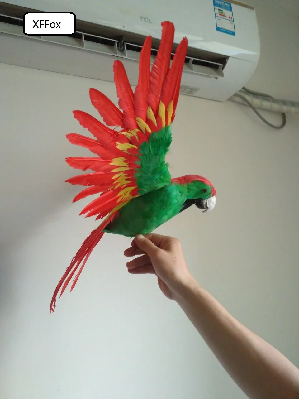 big real life green&red parrot model foam&feather simulation wings parrot bird gift about 45x60cm xf0241