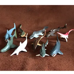10pcs/set Simulation animal model figurine whale marine animal scene Decoration Cretaceous prehistoric shark pvc model