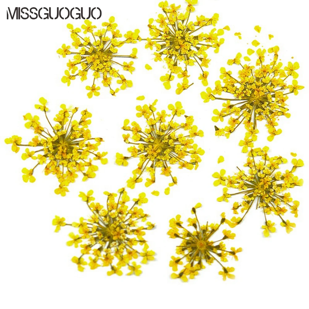 3D Dried Flowers Nail Art Decorations 3D DIY Natural Leaf Nail Jewelry UV Gel Polish nail salon decor Nails Accessories