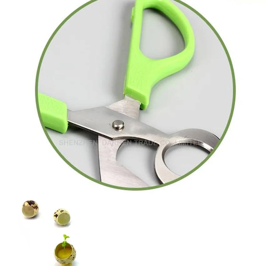 10PC/set perfect Pigeon Quail Egg scissor Bird Cutter Opener Kitchen Tool Clipper Quail Scissors Egg Cutter eggs scissors