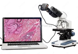 Teaching/Training-AmScope Supplies 40X-2000X LED Binocular Digital Compound Microscope w 3D Stage and 10MP Camera