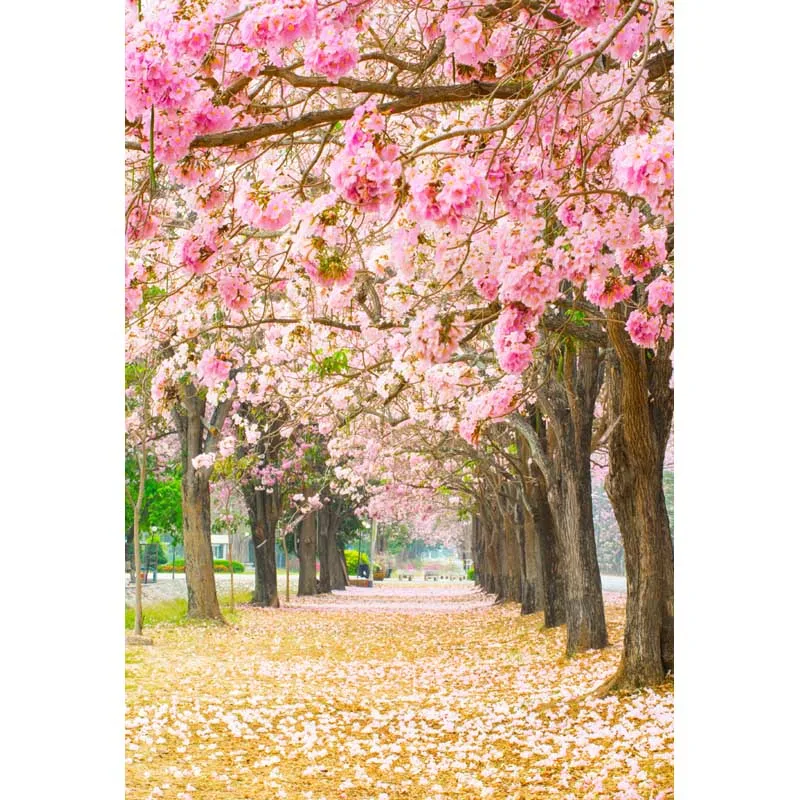 

Fallen petals way Photography backdrops spring trip photography backgrounds vinyl For kids Photography Studio accessories