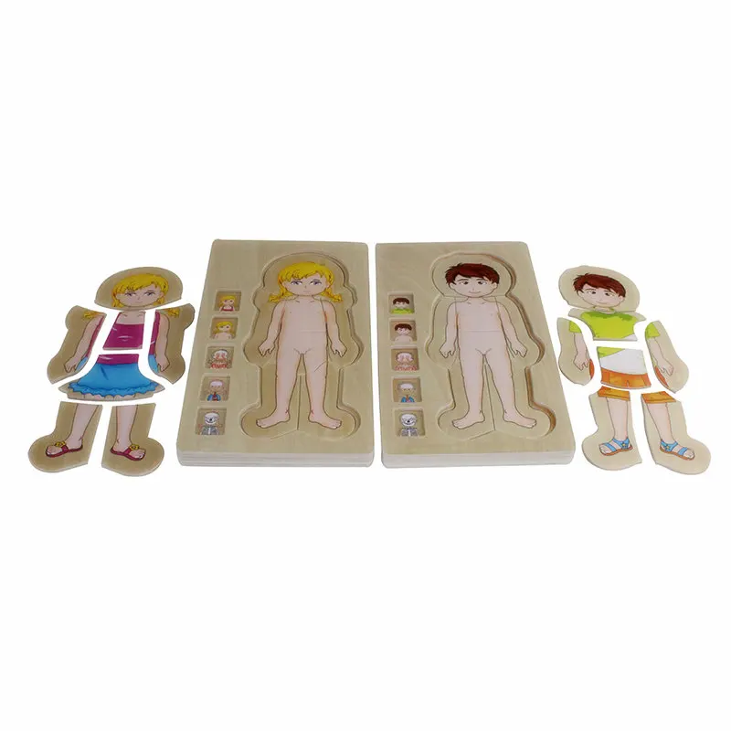 Montessori Children Educational Toys Wooden Human Body Puzzle Boys Girls Body Structure Wooden Children Puzzles Kids Toys Educat