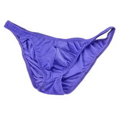 Sexy Men's Underwear Low-Waist Male Panties Viscose Ice Silk Translucent Small Briefs ZJH054