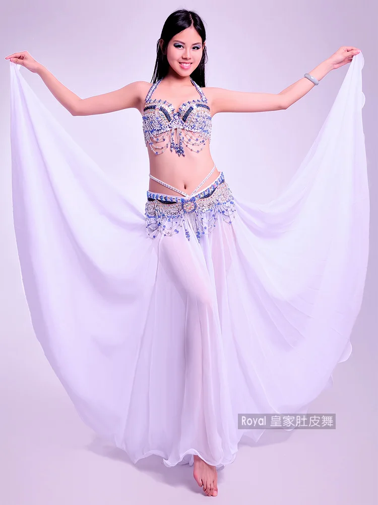 Belly dance clothe belly dance bra belt skirt belly dance costume 3pcs set belly dancer outfit women Oriental belly dance dress