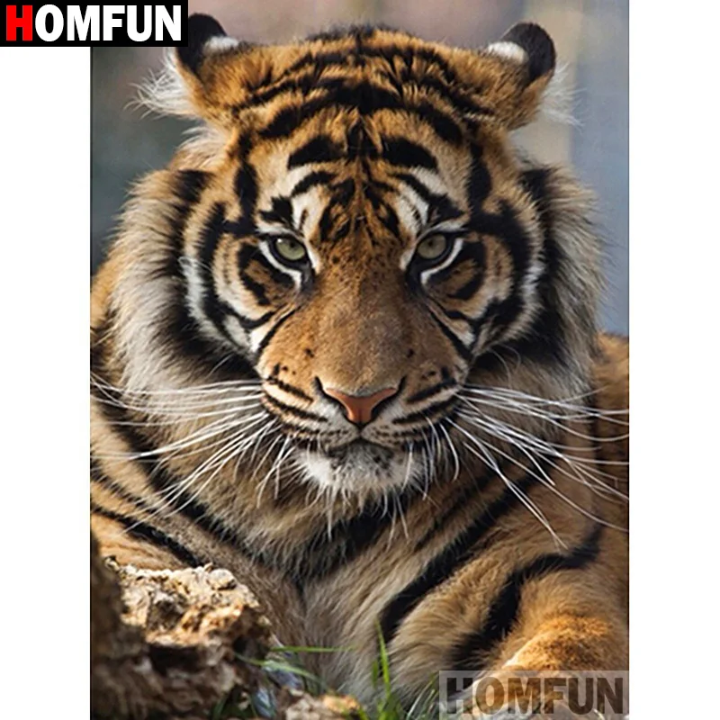 HOMFUN Full Square/Round Drill 5D DIY Diamond Painting 