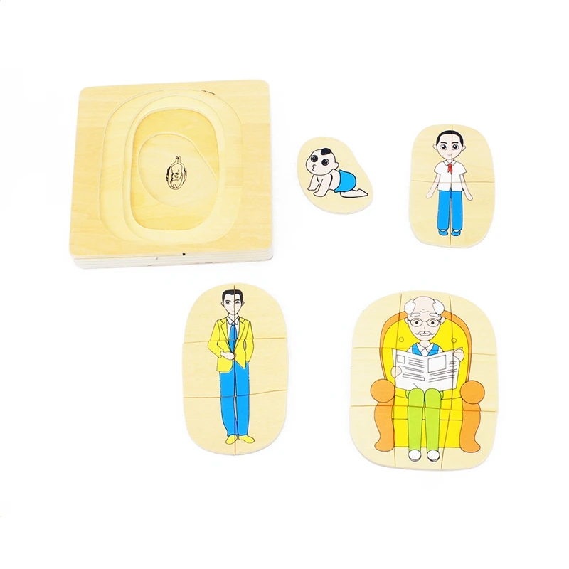 Kids Montessori Wooden Toys 3D Puzzle Life Cycle of Animals Plant Chock Frog Butterfly Sunflower Man Woman Baby Toy for Infant