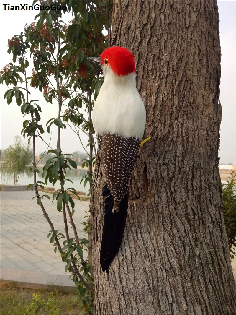 large 30cm feathers woodpecker bird hard model,simulation bird teaching prop handicraft Ornament garden decoration gift s0311