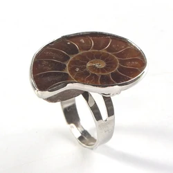 Trendy-beads Unique Silver Plated Adjustable Ammonite Ring Fashion Natural Ammonite Reliquiae Stone Rings Jewelry For Women Men