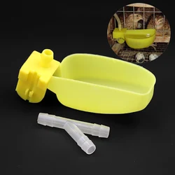 5Pcs Bird Quail Water Bowl Automatic Parrot Drinker Hanging Cups Piegeon Quail Parrot Water Feeder Bowl Bird Water Bottle