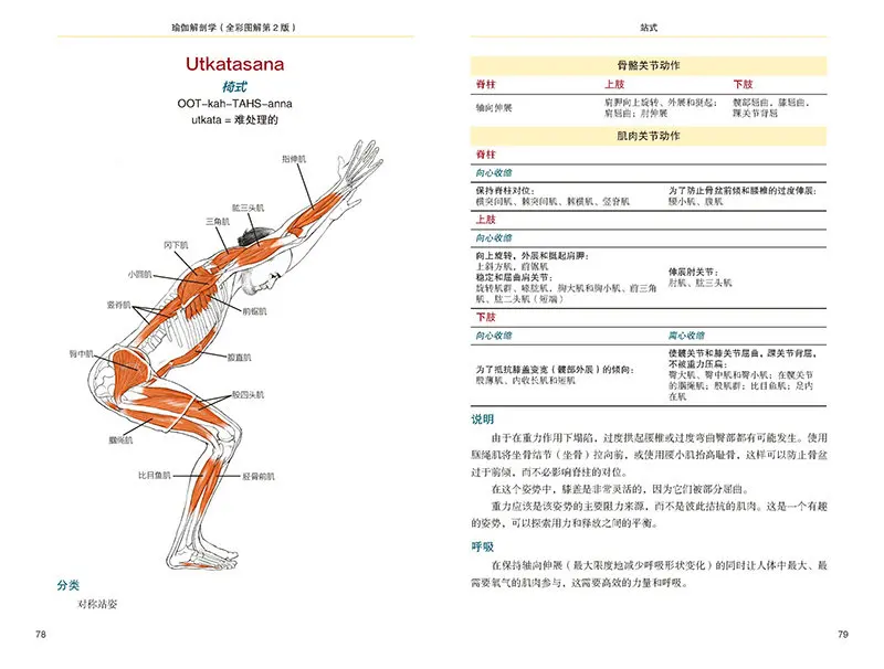 새로운 뜨거운 요가 해부학 도서: 요가 기본 운동 구조 및 원리 근육 보디 빌딩 교육 다이어그램 슬림 건강 도서