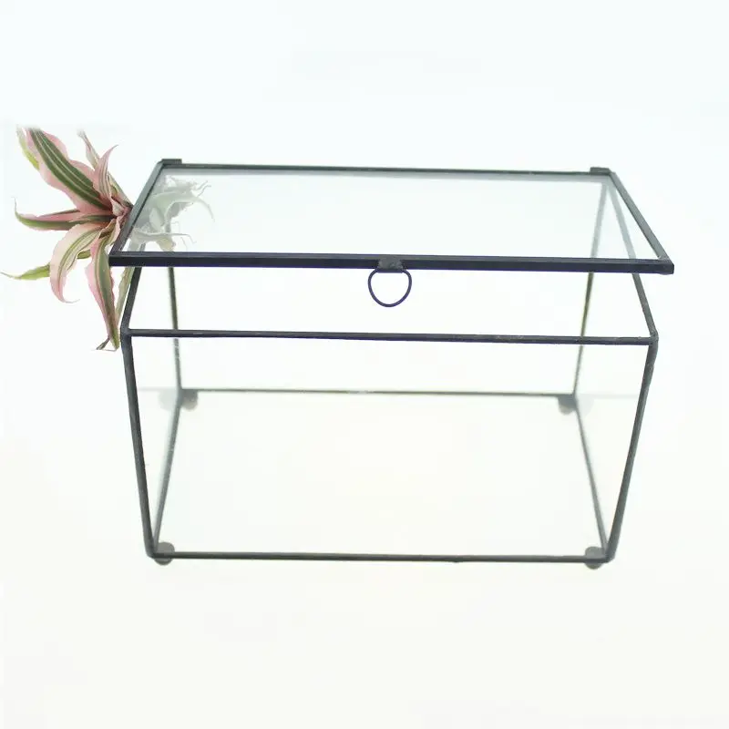 

NCYP Rectangle Glass Flower Pot Clear Geometric Terrarium Box Succulent Fern Moss Micro Landscape with feet Bonsai Flowerpot