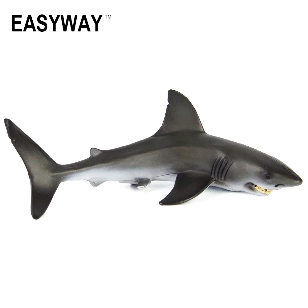 Mr.Froger Carcharodon Megalodon Model Giant Tooth Shark Sphyrna Aquatic Creatures Wild Animals Zoo Modeling Plastic Sea Lift Toy