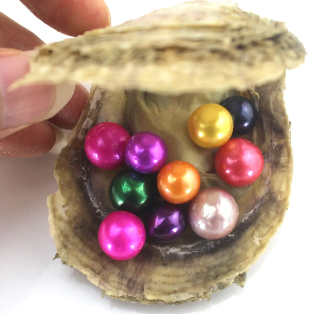 2019 Edison Oyster Pearl 9-12mm Saltwater Natural Pearl Loose Big beads Decorations Vacuum-Packaged For Gift Jewelry DIY EE2022