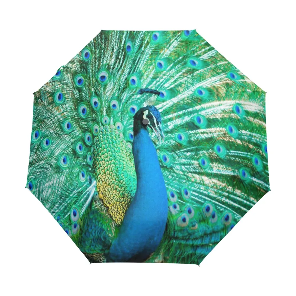 Peacock Exotic Birds Windproof Anti UV Umbrellas Auto Open Close 3 Folding Durable Compact Travel Sun Rain Umbrella for Children