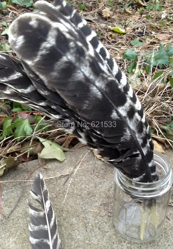 

50PCS/LOT! 25-30CM 10-12inches Wild Turkey Quill feathers -Wild Turkey wing feather-smudge supplies