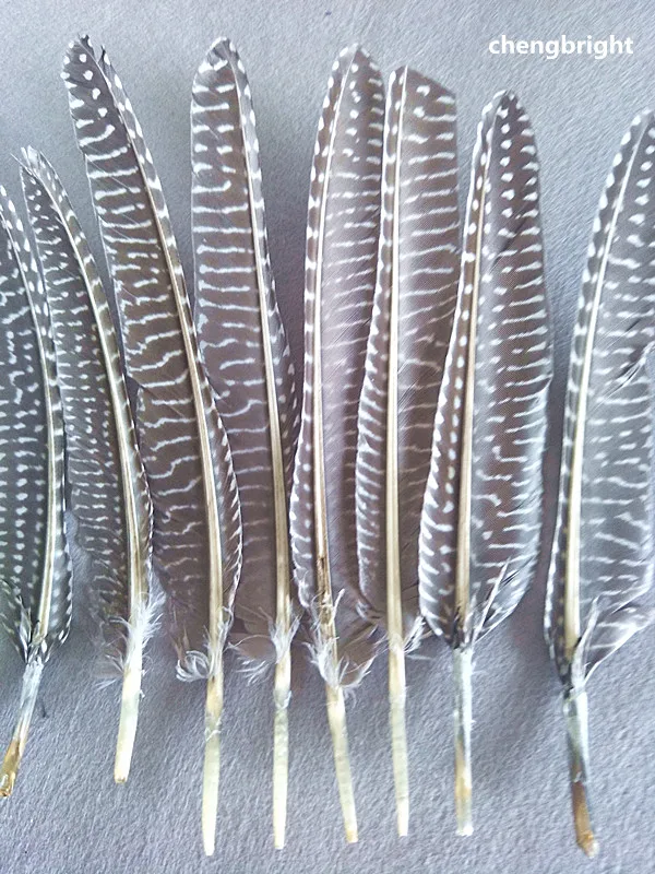 wholesale 50pcs beatiful natural  guinea fowl feather 13-18cm / 5-7inch  Decorative diy Clothing accessories Jewelry accessories