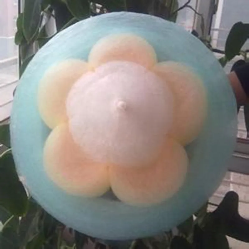 상업용 스테인레스 스틸 면화 사탕 치실 만드는 기계