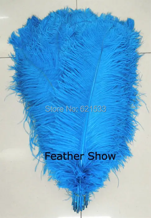 

50Pcs/LOT!OSTRICH PLUMES 24-26inches 60-65cm FEATHERS Top Quality Turquoise Color for Hats/Bridal