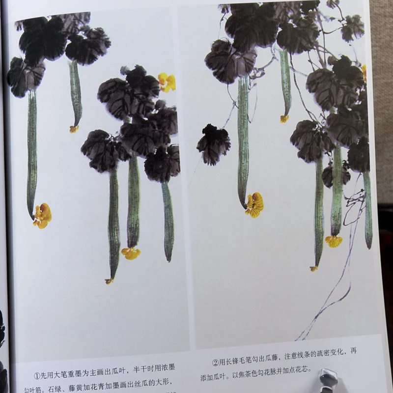 Chinese Painting Book Chicken Cock Painting 64pages