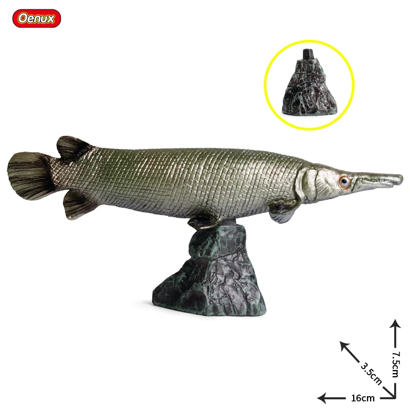 Oenux 海の魚動物モデルシミュレーション sealife シーラカンス