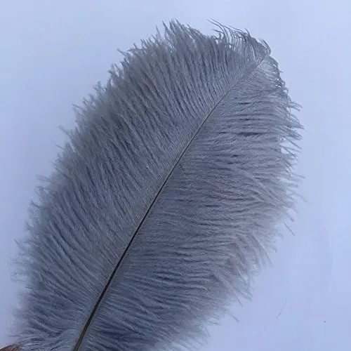 FREE  10pcs Ostrich Feathers 12-14inch(30-35cm) for Home Wedding Decoration