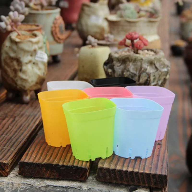 Plastic Flowerpot Mini Multicolour Square Succulents Breed Base Special Purpose Basin The Bottom Is More Breathable ZA5842