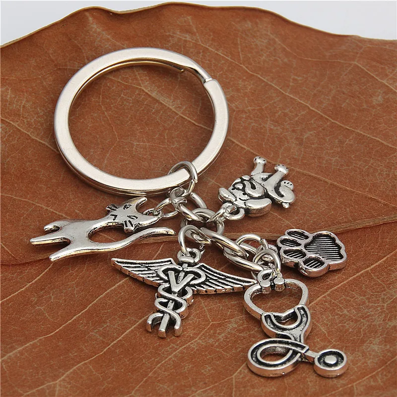 1pair Vet Keyring Silver Color Stethoscope Animal Charms Animal Dog Cat Nurse Key Chains Veterinary Jewelry Gift E2180