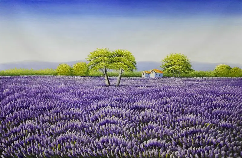 

Hand Painted Flower Oil Painting on Canvas Beautiful Wall Painting Flower Lavender Field Scenery Wall Art Picture for Home Decor